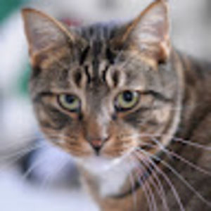 Meet your Posher, Vicki